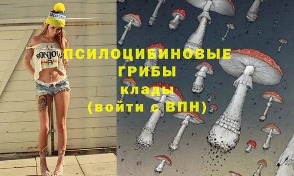 прущая мука Верхний Тагил