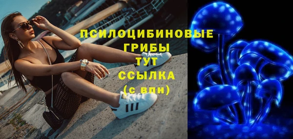 дживик Бронницы