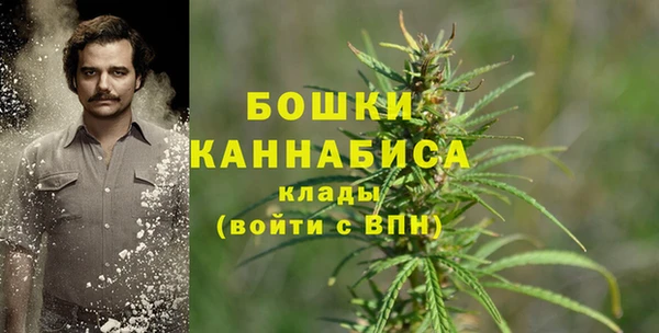 тгк Верея