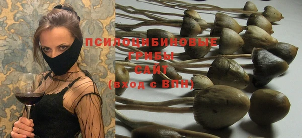 тгк Верея