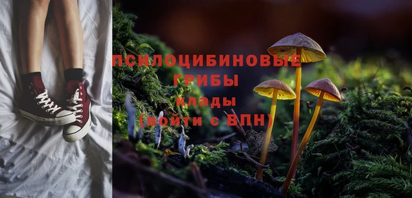 тгк Верея