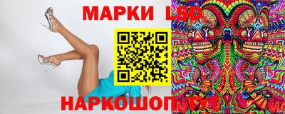 СК Дубна