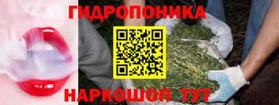 гидропоника Донской