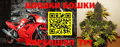 молекула духа Ногинск
