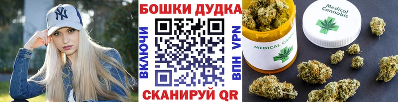 что такое Нижний Тагил Канабис SATIVA & INDICA